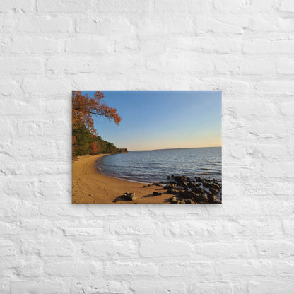 Riverside Beachfront Landscape on Thin Canvas Nature Photograph Scenic Photo Picture America Autumn Trees Water Cool Wall Art